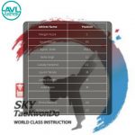 Team Sky Taekwondo